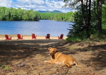 Beach Point at Indian Lake